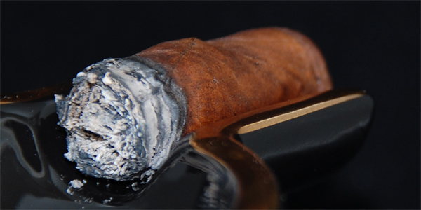 Padilla Dominus - 7